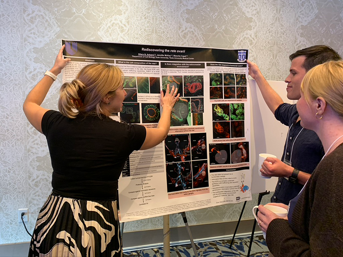 Cell Biology Postdocs Posters