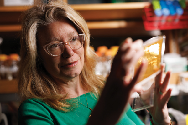 Gladfelter spotlight