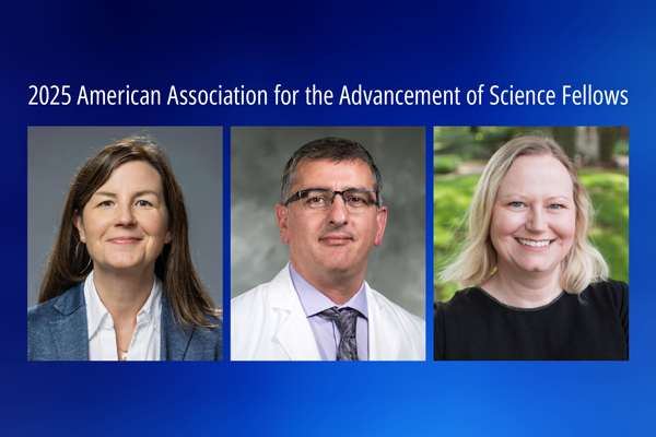 Staci Bilbo, David Hasan, and Lucia Strader