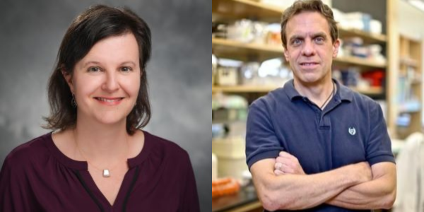 Debra Silver, PhD and Chris Nicchitta, PhD