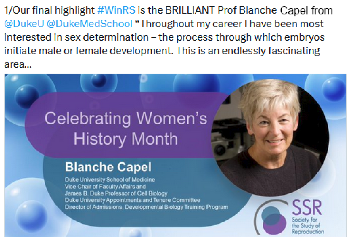 Blanche Capel twitter women history month