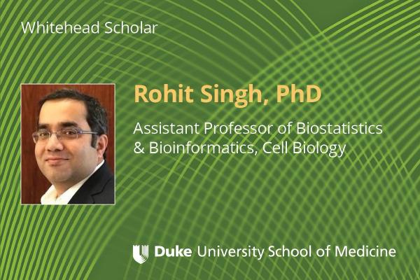 Rohit Singh Whitehead Scholar Program