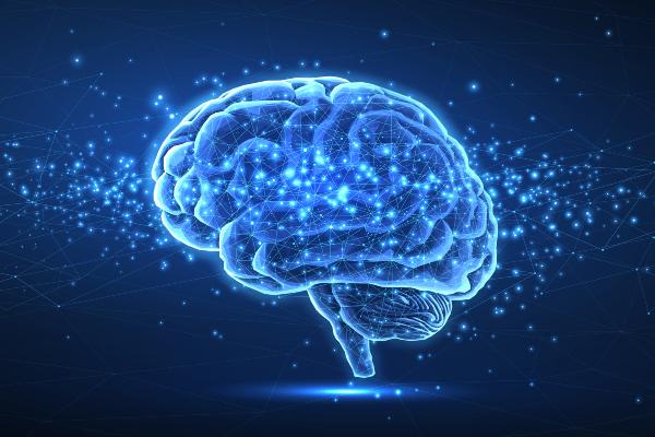 Graphic of a brain rendered in shades of blue