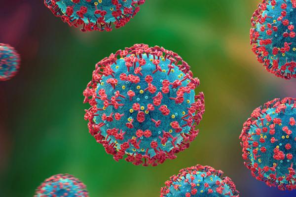 HIV cell