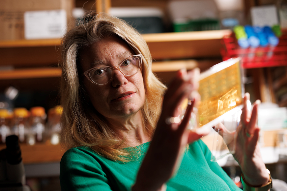 Duke Science and Technology scholar Amy Gladfelter, PhD, in the lab in 2024. Photo by Eamon Queeney.