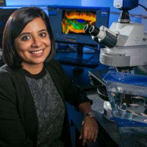 Akankshi Munjal