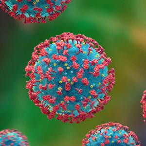 HIV cell