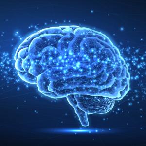 Graphic of a brain rendered in shades of blue
